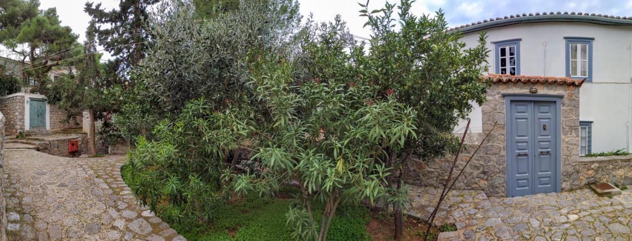 Pine Trees And Sea View Houses In Hydra - Daphne, Chloe, Myrto, Eleni Exteriér fotografie