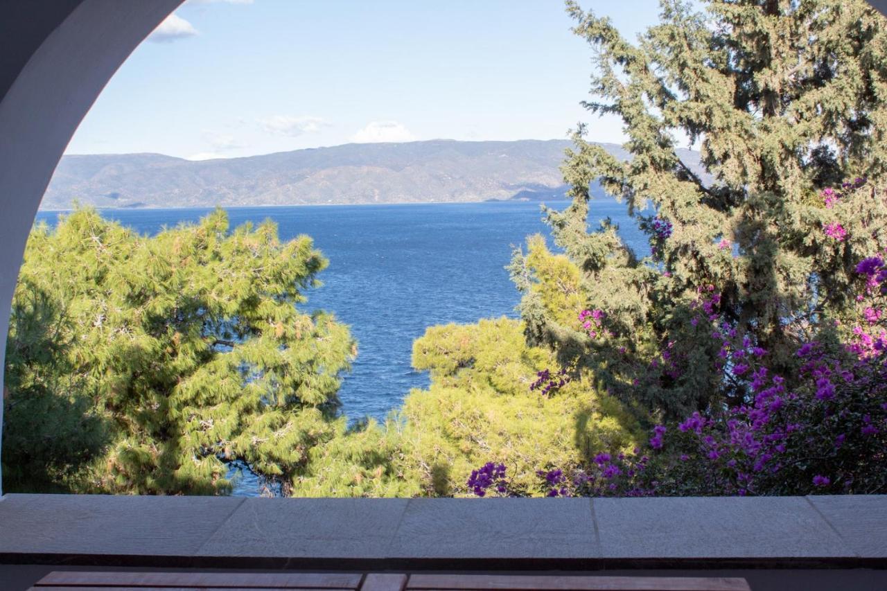 Pine Trees And Sea View Houses In Hydra - Daphne, Chloe, Myrto, Eleni Exteriér fotografie