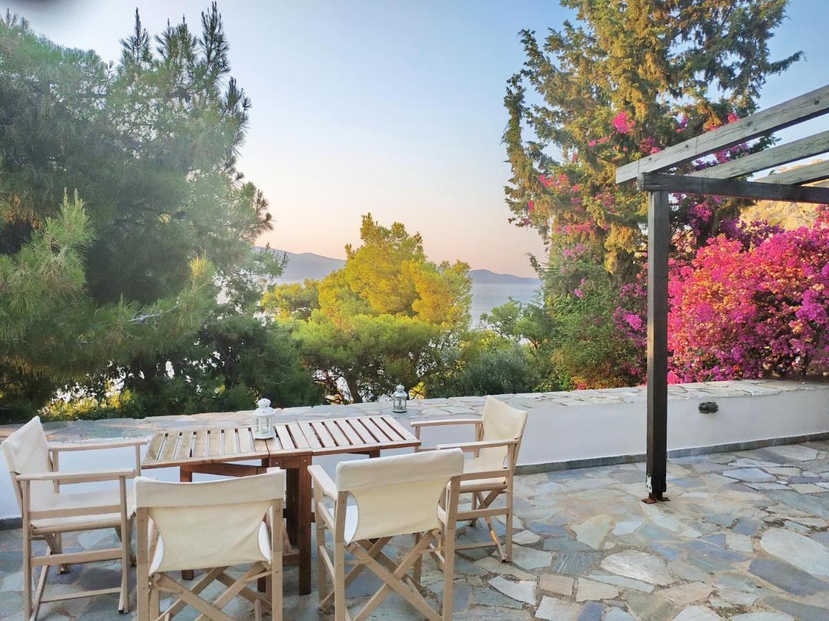 Pine Trees And Sea View Houses In Hydra - Daphne, Chloe, Myrto, Eleni Exteriér fotografie