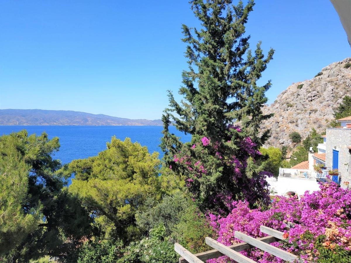 Pine Trees And Sea View Houses In Hydra - Daphne, Chloe, Myrto, Eleni Exteriér fotografie