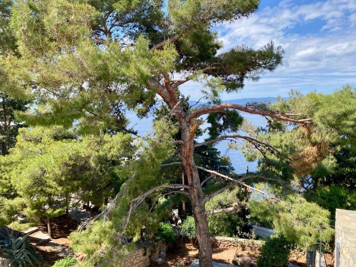 Pine Trees And Sea View Houses In Hydra - Daphne, Chloe, Myrto, Eleni Exteriér fotografie