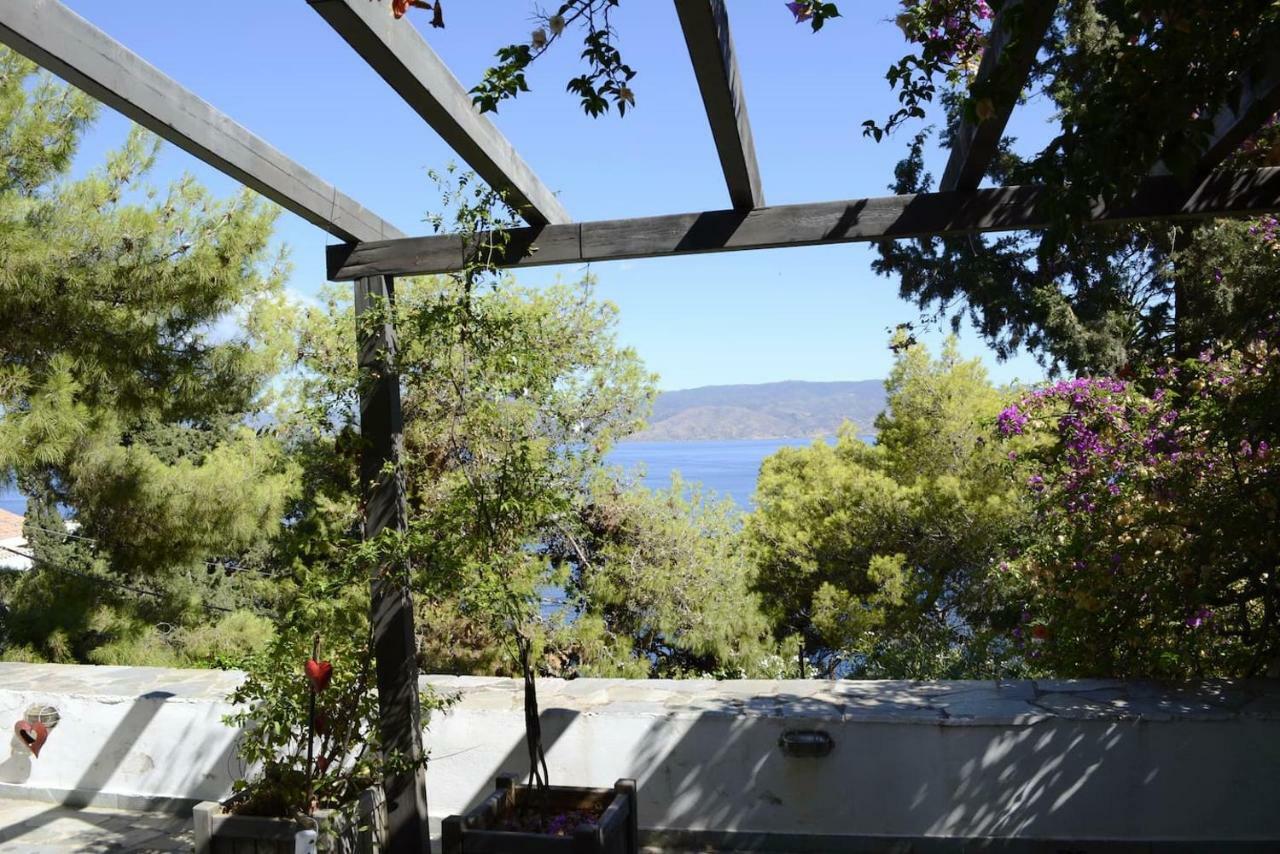 Pine Trees And Sea View Houses In Hydra - Daphne, Chloe, Myrto, Eleni Exteriér fotografie