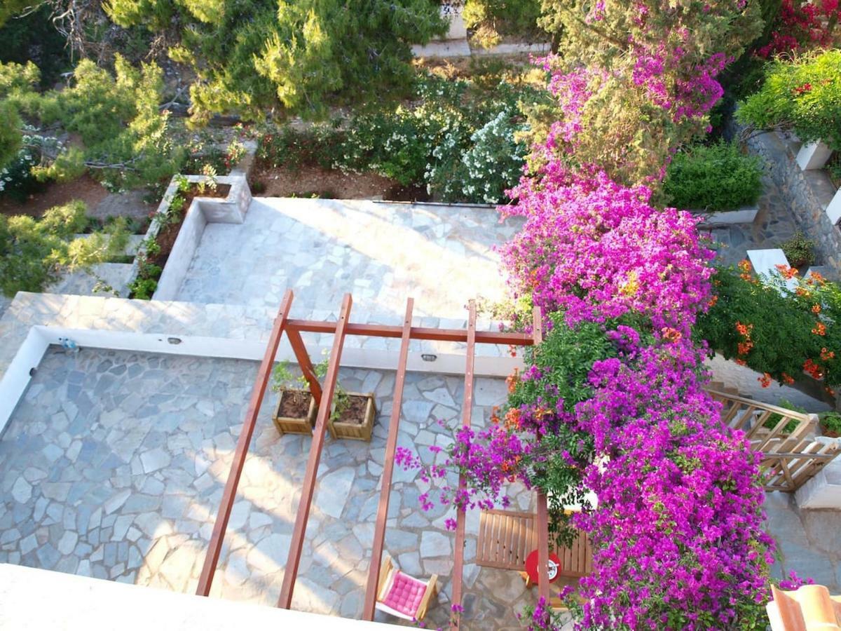 Pine Trees And Sea View Houses In Hydra - Daphne, Chloe, Myrto, Eleni Exteriér fotografie
